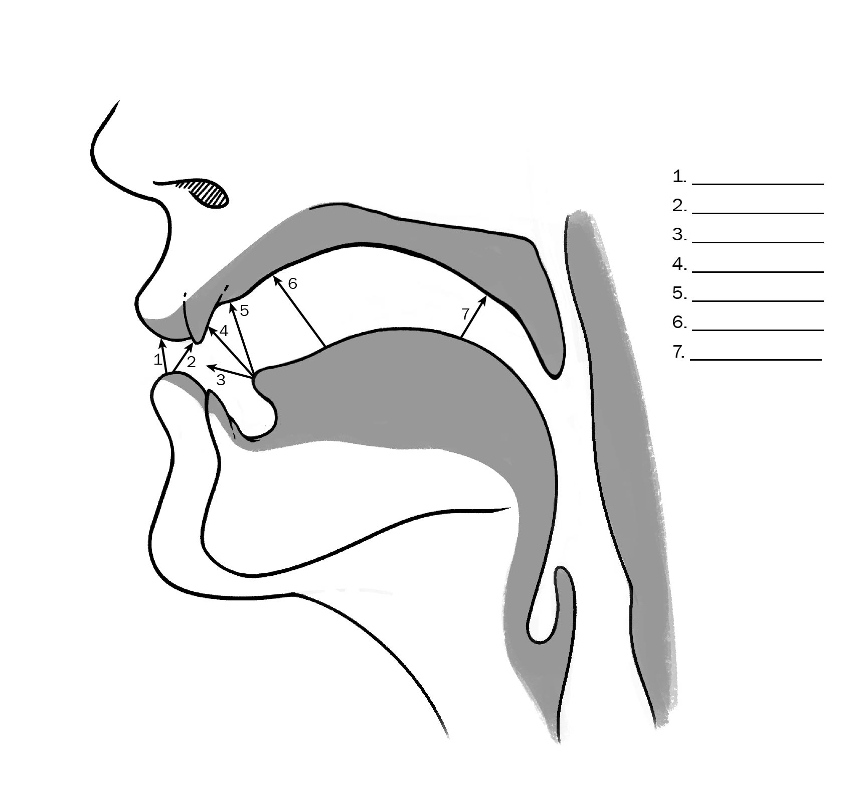 Llene los espacios en blanco con el término lingüístico para los distintos lugares de articulación de las consonantes de español.